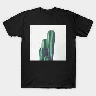 Organ Pipe Cactus T-Shirt